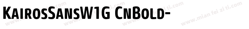 KairosSansW1G CnBold字体转换